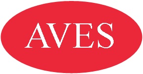 AVES AUDIO VISUAL SYSTEMS INC