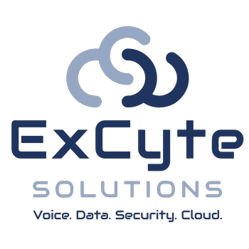 ExCyte Solutions  LLC