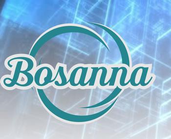 Bosanna llc