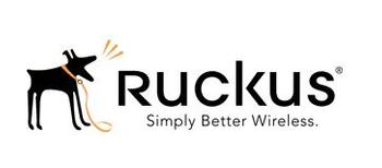 Ruckus Wireless Inc
